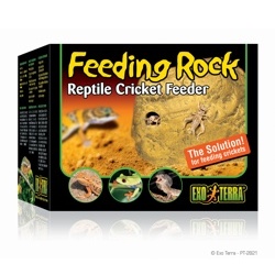 Exo Terra Cricket Feeding Rock